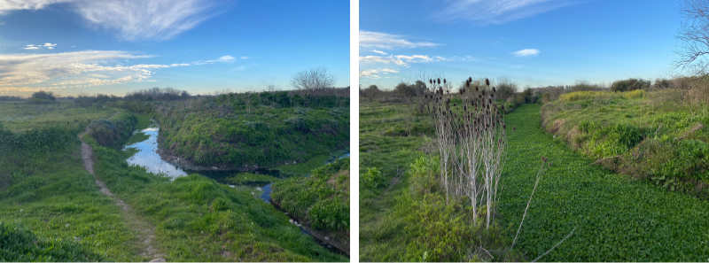 Arroyo del Rey en el Camino de las Flores